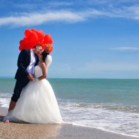 Свадьба на берегу моря :: Александр Друкар