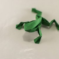 Оригами лягушка :: Богдан Петренко