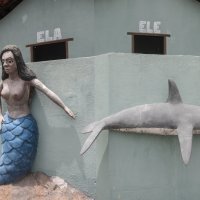 Дельфин и русалка :: Alex 