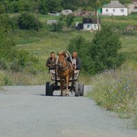 Гляжу - поднимается медленно воз :: Константин Селедков