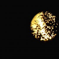 Луна "в ажуре" :: Нина Пугачёва