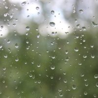 Дождь :: Арина Бибик