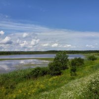 Летний пейзаж :: Наталья И.