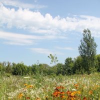 Середина лета или Петров день. :: Зина Иванова