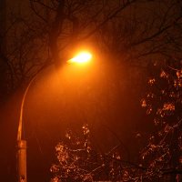 Свет в тумане :: Евгений Белов