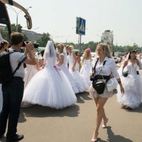 Парад Невест :: Павел Савин