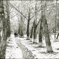 Графика первого снега :: Александр 