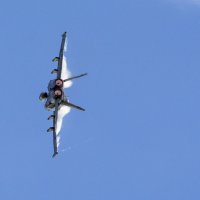 CF-18, Hornet :: Сергей Бушуев