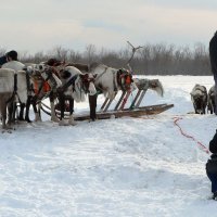 Фотосессия после гонок :: Алла Рыженко