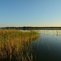 Берега Сиверского озера :: Алексей Крупенников