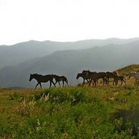 В ГОРАХ :: Виктор Осипчук