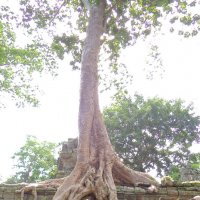 Храмы Камбоджи :: Сергей Карцев