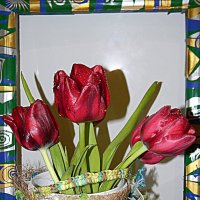 тюльпаны :: Надежда 