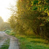 Утро в деревне :: Елена Солнечная