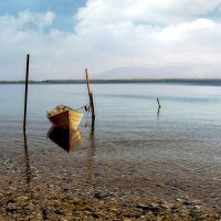 Мёртвое море :: Ron Леви