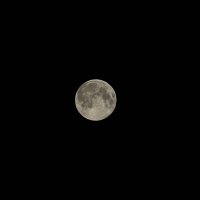 Луна :: Daria Sergeevna