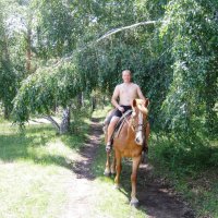Рыцарь на рыжем коне :: Татьяна Ильина