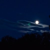 Лунная кисть на холсте неба :: Мария Зайцева