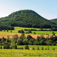 В зеленых тонах :: Александр С.