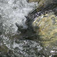 Вода в Бзоге :: Олег Романенко