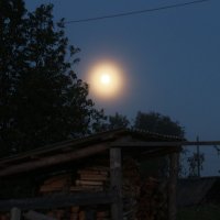 одинокая луна. :: марина ржаницына 