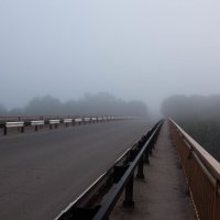 Дорога в туман :: Мария Зайцева