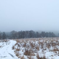 Зимний туман :: Антон Северовъ
