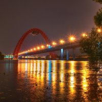 Живописный мост. Москва :: Inna L