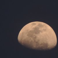 Луна 2 :: Любаша Марчкова