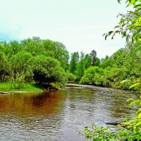 Река Олха :: alemigun 