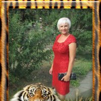 Тигрициа с тигром :: Stratiere 