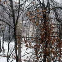 Снег идет... :: Игорь Липинский