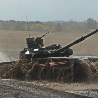 Наши танки грязи не боятся :: Василий Аникеев