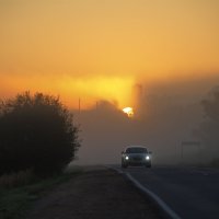 солнце подглядывает :: Александр С.