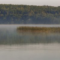 Утро нового дня :: Сергей Петров