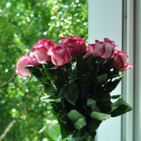 Розовые розы :: Katherine 