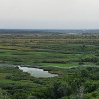 Пойма Оби. Дымный ручей :: Виктор Четошников