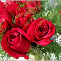 розы в подарок :: Татьяна Осипова(Deni2048)