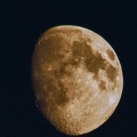 Луна сегодня :: Евгения Сихова
