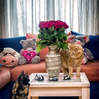 Коты и розы :: Александр Буслов
