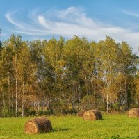 Сентябрь... :: Галина Шепелева