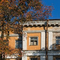 Осень :: Evgeniy Kalinin 
