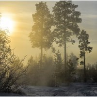 Наползает туман с болот :: Василий Хорошев