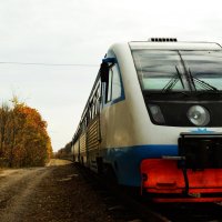 Поезд Поворино-Жердевка :: Алина Леликова