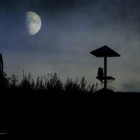 В ожидании полной луны :: Александр Великанов