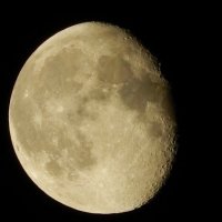 Луна. :: Конова Анастасия 