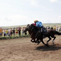 целуются на скаку!!!! :: константин 