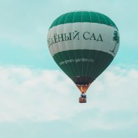 воздушный шар(вид из окна) :: Наталья Макарова