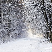 Первый снег :: Эдуард 