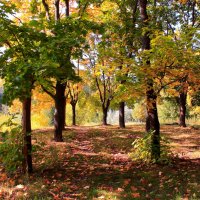 В старом парке бродит осень :: Татьяна Ломтева